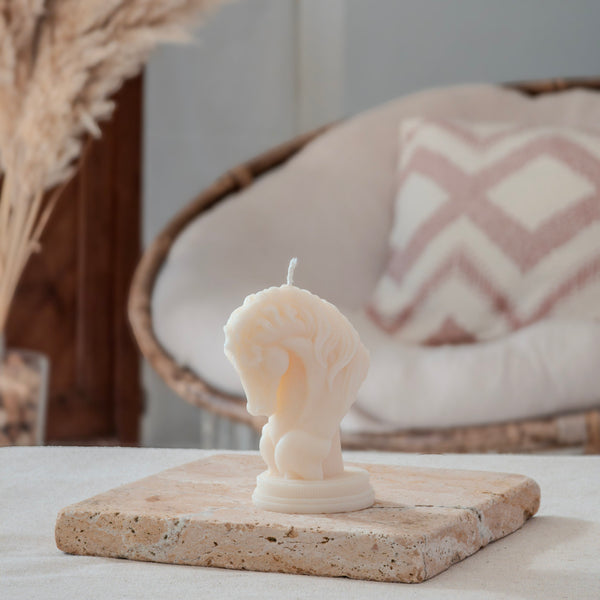 Bougie décorative Camargue